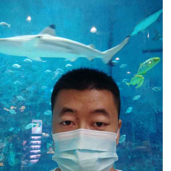 河北34岁单身帅哥真诚找对象-绥化征婚相亲网