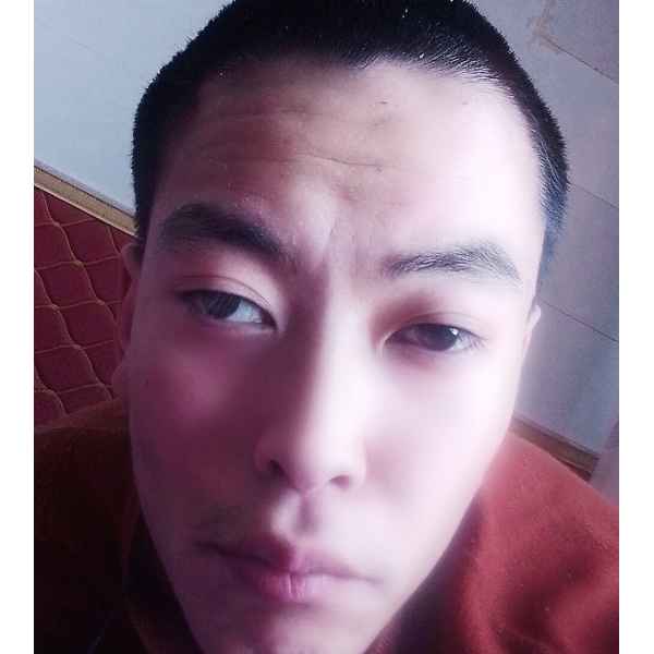 宁夏25岁单身帅哥真诚找对象-绥化征婚相亲网